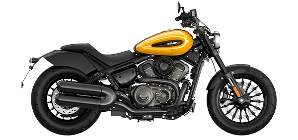 Chinchilla 350 CVT