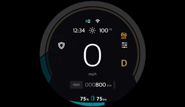 Flying Flea elétrica