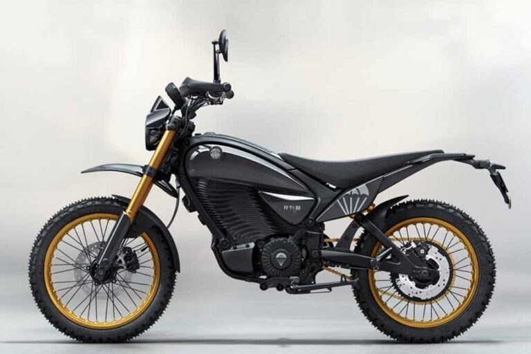 Flying Flea elétrica