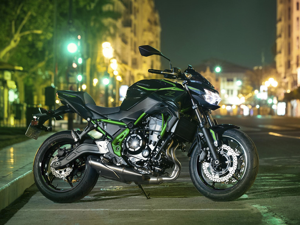 Kawasaki domina